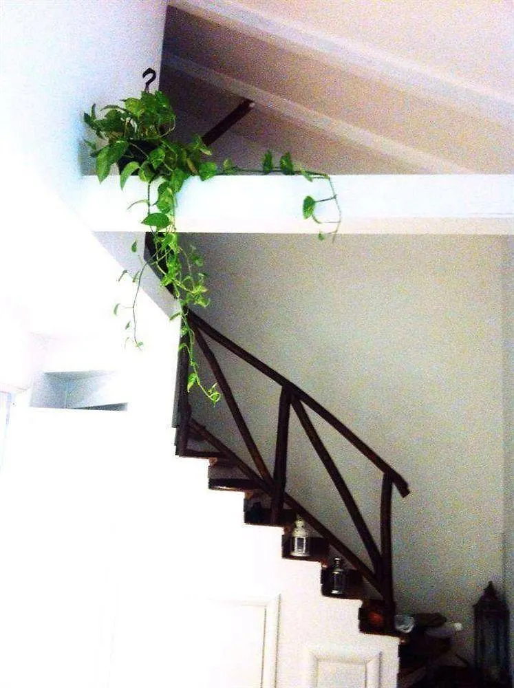 Borgo Al Vaticano Bed & Breakfast Rome